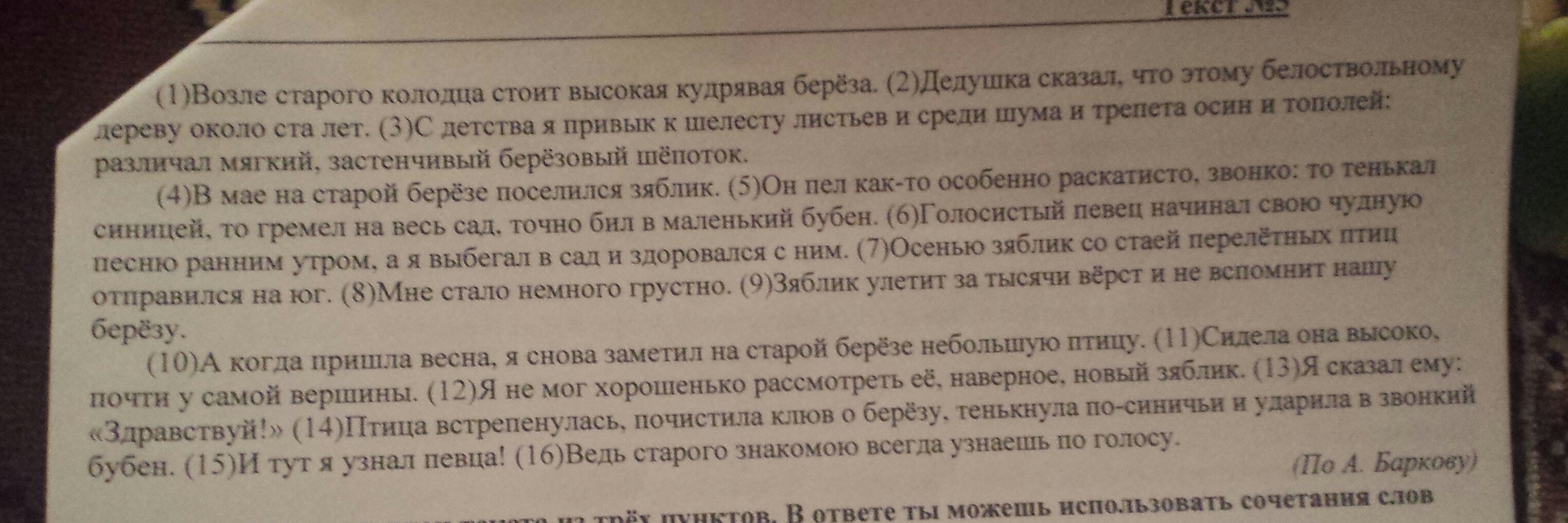 Возле старого колодца стоит высокая кудрявая береза основная мысль текста и план с ответами